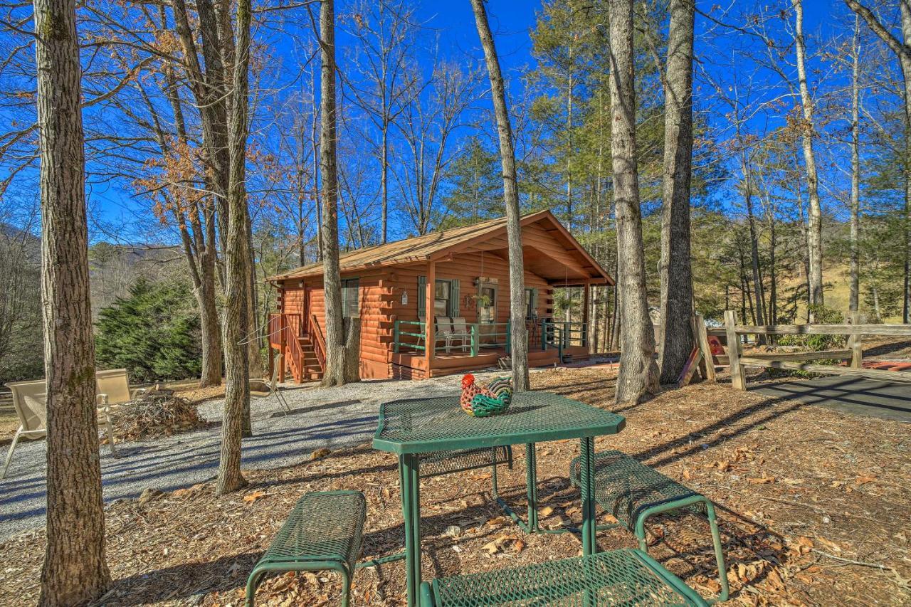 Franklin Cabin With Porch Near Hiking And Waterfalls! 외부 사진